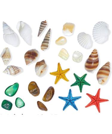 Ocean Themed Nail Charms - Sea Shells & Starfish Style | Nail Accessories with Rhinestones | 2 Boxes Assorted Designs with Tweezers - Buy Online on GoSupps.com