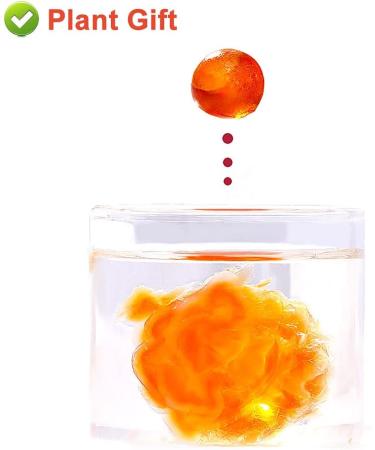 Plant Gift Natural Wild Peach Gum 230G/8.11oz Edible Peach Blossom Tears Tao Jiao Peach Resin Food Additives Free - Buy Online on GoSupps.com