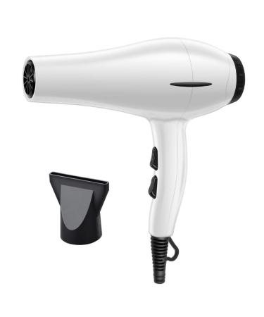 Hair Dryer Professional Hair Dryer AC Motor 1800W Negative Ionic Hairdryer with 3 Heat 2 Speed Settings for Home & Salon Fast Drying Blow Dryer Protect Hair Small Gift