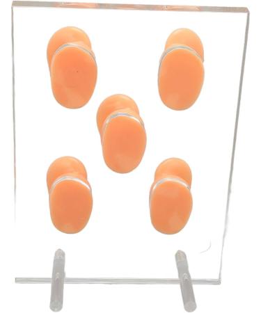 5Pcs Waterproof Soft Ear Model Displays for ENT Hospitals - Complete Tools Included - Buy Online on GoSupps.com