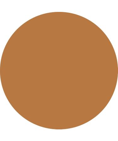WYCON Cosmetics PARTY HARD Friendly Vegan Fluid Foundation with Glossy Natural Finish - 14 SALTED CARAMEL - Buy Online on GoSupps.com