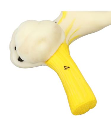 Highly Detailed Inner Ear Labyrinth Model - 5X Magnification PVC Semicircular Canal - Ideal for Teaching and Education - Buy Online on GoSupps.com