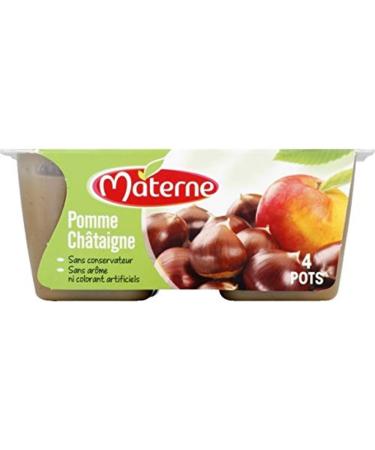 Materne Specialty apple chestnut, without preservatives, without artificial flavors or colors - 4 jars of 100g