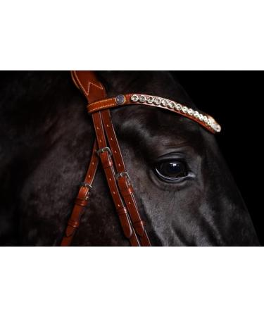 BRIDLERY Stunning White Cognac Browband for Thoroughbreds | Premium Quality & International Shipping - Buy Online on GoSupps.com