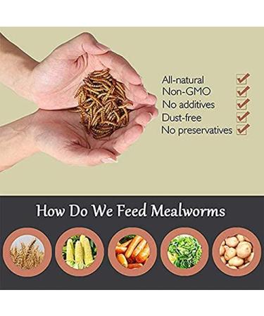 Non-GMO Dried Mealworms & Black Soldier Fly Larvae - High-Protein Treats for Chickens, Fish & Birds - 11lb Pack - Buy Online on GoSupps.com