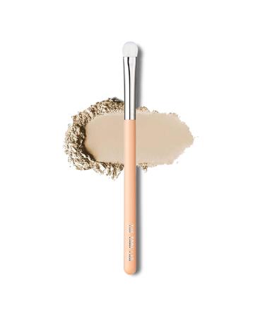 THE TOOL LAB 404 Eye Shadow Brush Set - Professional 5-Piece Makeup Brush Kit with Travel Case for Precision Eyeliner Blending and Concealer - Buy Online on GoSupps.com