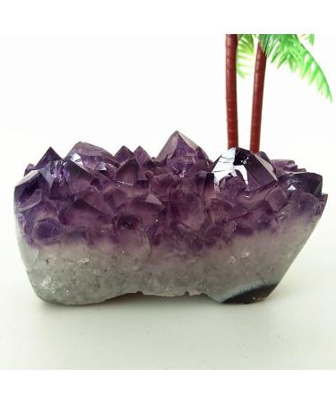Natural Crystal Rough Amethyst Crystals Natural Amethyst Flowers Stone Geode Quartz Crystal Cluster Home Decor Display Agate Amethyste Real Minerals (Color : A27 260g 87-41mm)