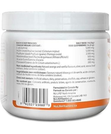NuLife Therapeutics by NuLife Vitamins Nulife Therapeutics LGS Gut Therapy Gi-Revival Triple Action Healing Fiber (Formerly Healing Fibre) 215 Gram Orange Creme Flavor - Buy Online on GoSupps.com