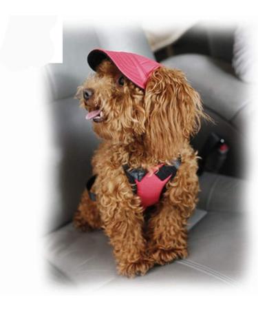 EGURS Dog Baseball Hats - Peace Sunbonnet Connection for Small Medium & Large Dogs & Cats - Stylish Orange Cap - Buy Online on GoSupps.com