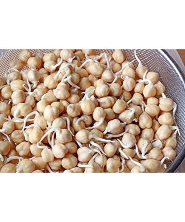 Cool Portaal Germinated Chickpea Seeds 600 Gram - Buy Online on GoSupps.com