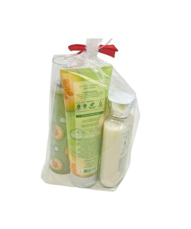 Bath & Body Works Cucumber Melon 4-Piece Gift Set - Limited Edition Holiday Gift with Shower Gel Body Cream Mist & Lotion - Buy Online on GoSupps.com