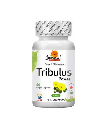 Sewanti Organic Tribulus Power Npn 80070793 60 gram