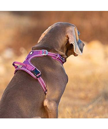 Truelove No Pull Dog Harness | Reflective & Adjustable Pet Vest | Soft Padded Dog Harness with Handle - TLH56512 L Purple - Buy Online on GoSupps.com