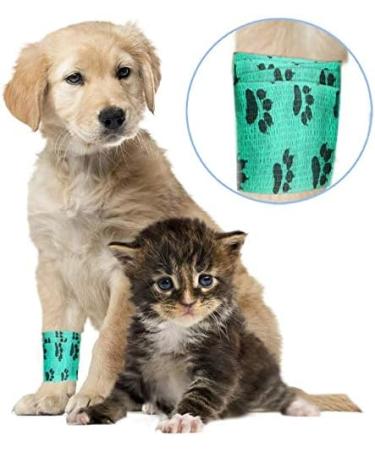 Kulannder 8 Rolls Self Adhesive Bandage for Dog Bandage for Dogs Paws Legs Injury Do not Stick to Fur High Elastic and Breathable - Buy Online on GoSupps.com