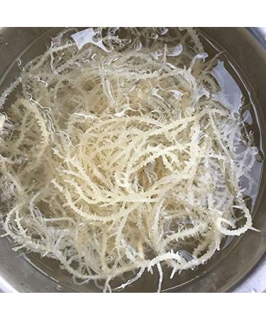Sea Moss Dried Sea Vegetable Seaweed 300g - Buy Online on GoSupps.com