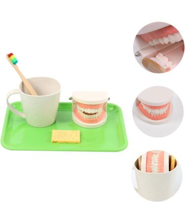 Buy Educational Dental Toys for Kids | Interactive Tooth Models for Early Dental Education - Buy Online on GoSupps.com