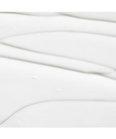 OSEA Atmosphere Protection Cream 2oz - Lightweight Face Moisturizer for Fast Hydration with Niacinamide Shea Butter & Undaria Seaweed - Perfect Under Sunscreen & Makeup - Shop Internationally - Buy Online on GoSupps.com