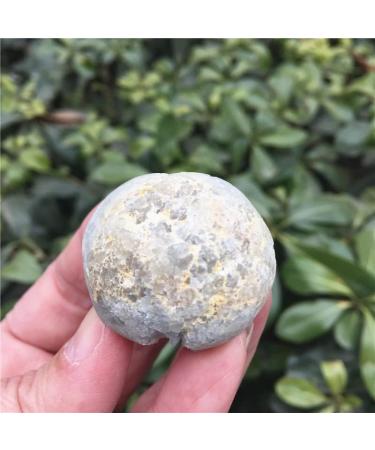 Natural Crystal Rough 50g Natural Kyanite Quartz Crystal Cluster Rough Specimen Minerals Reiki Healing Chakra Gemstone - Buy Online on GoSupps.com