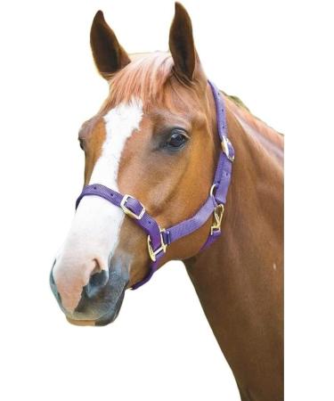 Shires Adjustable Pony/Horse Headcollar - Black Full Navy Full - Buy Online on GoSupps.com
