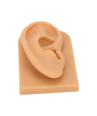 Silicone Right Acupuncture Ear Model Soft Flexible Waterproof Hearing Aid Display Accessories for Science Education