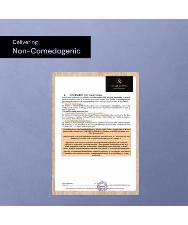 De-construct Oil-Free Moisturizer 50g | Lightweight Gel with 3% NMF & 0.2% Panthenol | Best Face Cream for Oily to Combination Skin - Buy Online on GoSupps.com