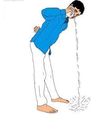 Acupressure-Jal Neti Pot Plastic Chapta-Code 1817 - Buy Online on GoSupps.com