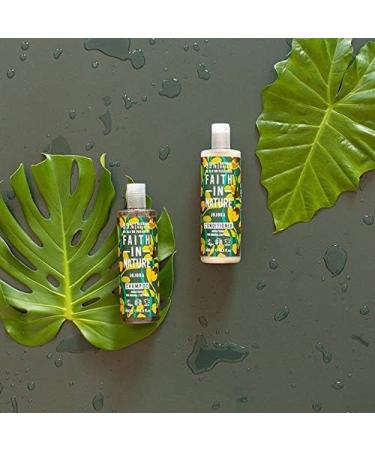 Faith In Nature Natural Jojoba Body Wash Enriching Vegan & Cruelty Free No SLS or Parabens 400ml Jojoba 400 ml (Pack of 1) - Buy Online on GoSupps.com