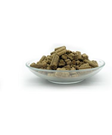 Bellfor Forstbach-Schmaus Cold-Pressed Dry Food without Grains with Salmon and Trout Rich in Natural Vitamins Minerals and Antioxidants 10 kg - Buy Online on GoSupps.com