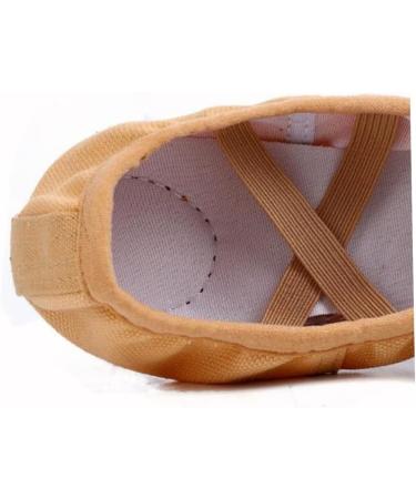 Buy Lurrose Foldable Ballet Shoes - Travel Friendly Stretch Sole Ideal for Ballet & Yoga - Comfortable Slippers for Dance Exercises - Buy Online on GoSupps.com