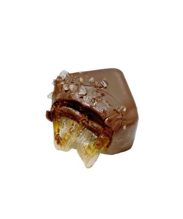 Vegan Gluten Free Nut Free Gourmet Chocolate Covered Caramels | Dairy Free Allergy Friendly Gifts - No Whey Foods 6 Pieces - Buy Online on GoSupps.com