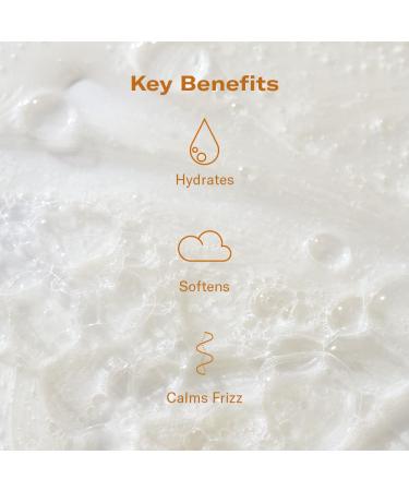 DAE Monsoon Moisture Milk Shampoo - Hydrating Frizz Control Softens & Prevents Damage - 10 oz International Shipping - Buy Online on GoSupps.com