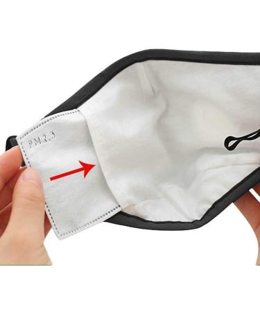 100 PCS Adult PM2.5 Activated Carbon Filters | 5-Layer Replaceable Anti Haze Filter Paper - Buy Online on GoSupps.com