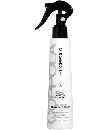 PETER COPPOLA Keratin Concept Just Blow   Blow Dry Spray   6 oz   Heat Protectant Spray for Hair   Reduces Blow Dry Time  Smoothes and Straightens all Hair Types - Conditions and Adds Shine 6 Ounce (Pack of 1)
