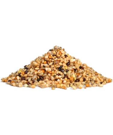 RIO Complete Food for Exotics - 0.5 kg (500g) | Premium Nutrition for Exotic Pets - International Shipping Available - Buy Online on GoSupps.com