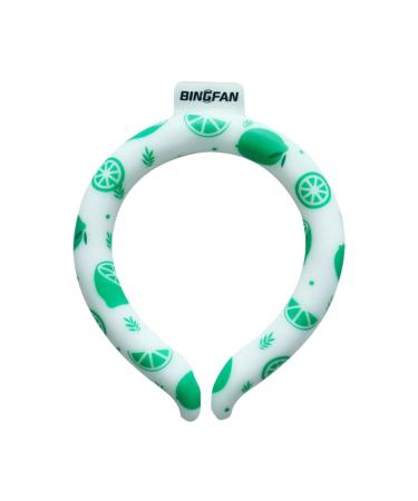 Ice Neck Tube Cold Neck Tube | Pcm18 C Cool Down Heatstroke Prevention Cold Neck Collar Ice Pad for Outdoor Walking Fovolat Mint Green Medium