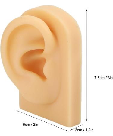 Silicone Artificial Ear Model Simulation of Silicone Ear Model for Practicing Sutures (Right) - Buy Online on GoSupps.com