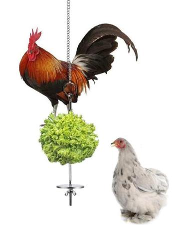 Vokowin Chicken Veggies Skewer Fruit Bag Set Hens Feeder Toy Chicken Food Stick Holder Vegetable String Bag Fruit Holder Stainless Steel Hens Large Birds Treat Skewer (K104-2) - Buy Online on GoSupps.com