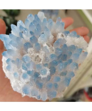 Home Decoration 400-700g Rare Beautiful Blue Ghost Phantom Quartz Crystal Cluster Specimen Stones ZJGIDTEM (Size : 500-600g) - Buy Online on GoSupps.com