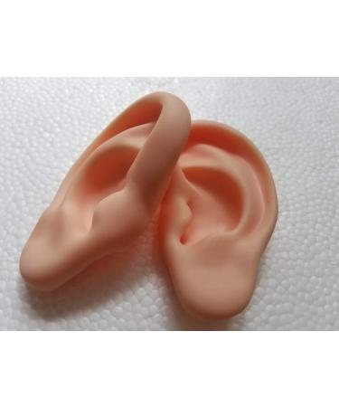 Chengyida 1 pair of ear model silicone ear acupuncture practice model right and left teaching resources model oreille for medicine science
