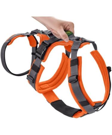 Safety Harness Maldon Orange/Grey - Size SM | Durable & Comfortable | International Shipping Available - Buy Online on GoSupps.com