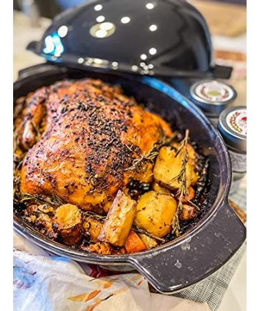 Gustus Vitae Portuguese Piri Piri Fire Seasoning | Small Batch Artisanal Rub | All Natural & Non GMO | 1.8 oz Gourmet Spice Mix | Magnetic Tin | #790 - Buy Online on GoSupps.com