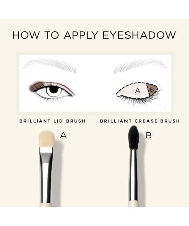 HALEYS Crease Eyeshadow Brush - Medium Fluffy Tapered Makeup Tool for Seamless Blending | Vegan High-End Synthetic Bristles | Perfect for Cream & Powder - Buy Online on GoSupps.com