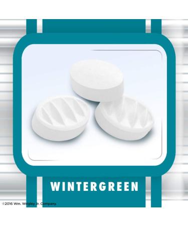 Buy Altoids Arctic Mints Wintergreen 1.2oz (8 Count) - Fresh Breath & Intense Flavor | International Shipping Available - Buy Online on GoSupps.com
