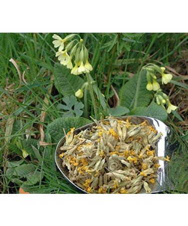 Krauterino24 Krauterino24 - Key Flowers with Flower Chalice - Quantity: 500 g