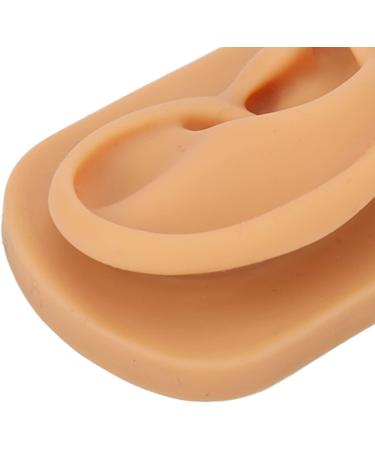 Flexible Silicone Right Ear Model for Hearing Aid Demonstration - Waterproof & Ideal for Science Education - Buy Online on GoSupps.com