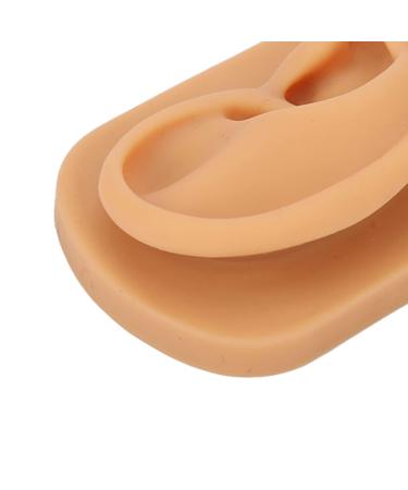 Ear Model Soft Silicone Right Ear Model Clear Structure Science Education Easy To Observe Flexible Waterproof for Display - Buy Online on GoSupps.com