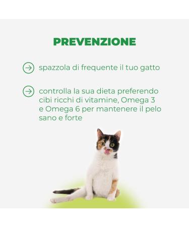 Buy INTERVET ITALIA Remover Pasta 50g - Fast Shipping Worldwide | Best Price & Quality - Buy Online on GoSupps.com