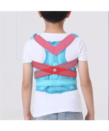 MDLian X-Large Sitting Posture Corrector - Hunchback Orthotics for Adolescents | Spinal Belt Support - Improve Back Alignment - Buy Online on GoSupps.com