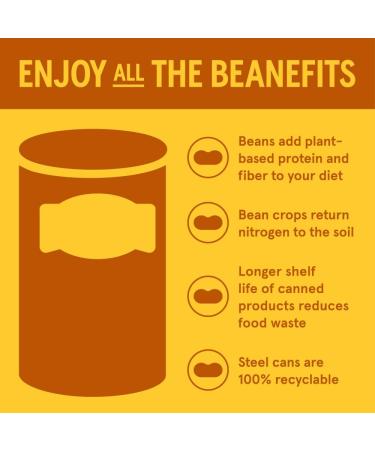 Bush's Best Dark Red Kidney Beans in Spicy Chili Sauce - Buy Online on GoSupps.com