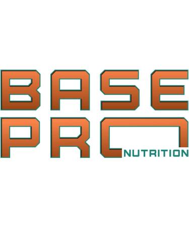 Pro Whey Isolate - Extreme Chocolate | Base Pro Nutrition | Whey Isolate Protein Powder 27 Grams of Protein Per Scoop 28 Servings Per Pouch | 2LBS Extreme Chocolate 2 LBS - Buy Online on GoSupps.com